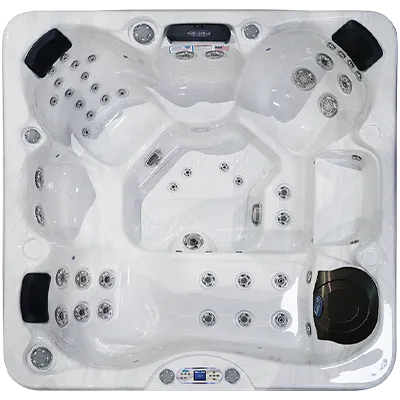 Avalon EC-849L hot tubs for sale in Fayetteville